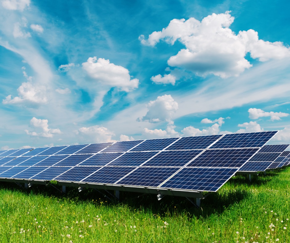 Solar panels in a field 