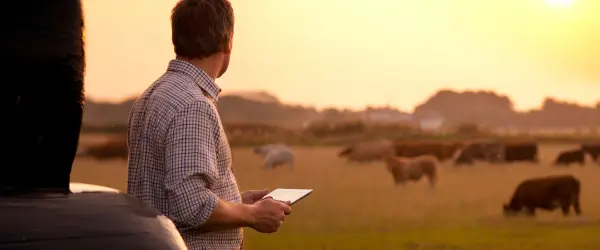 A farmer holding an ipad looking out on his fields at sunset