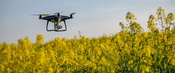 A drone flying over a field of crops