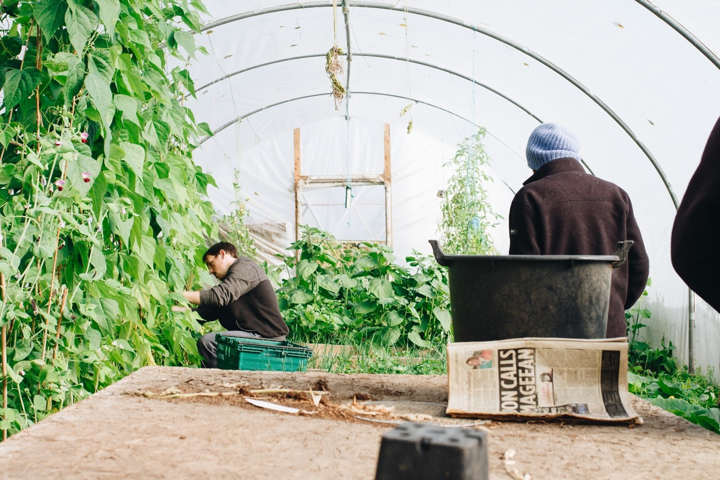 Men wearing black jackets inside the greenhouse polytunnel