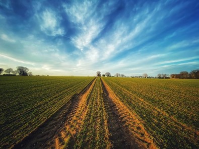 Farming field blue sky