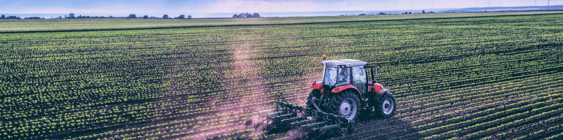 tractor ploughing a field