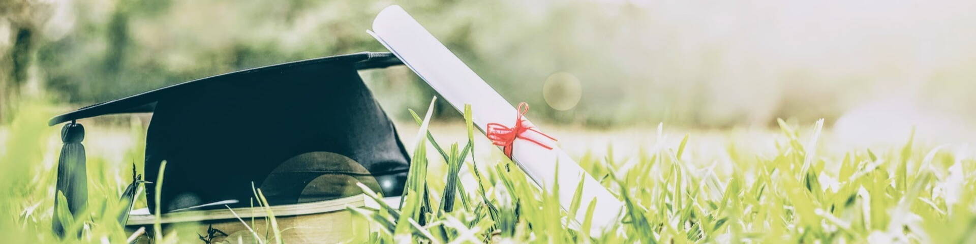 graduate hat in field