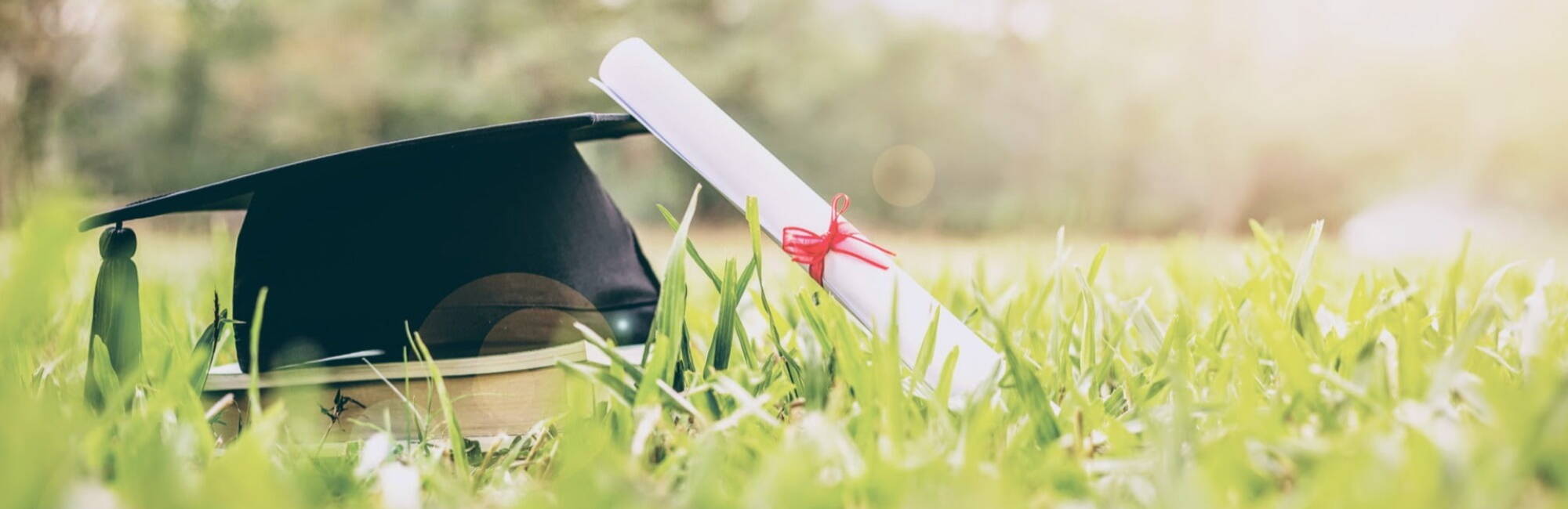 graduate hat in field