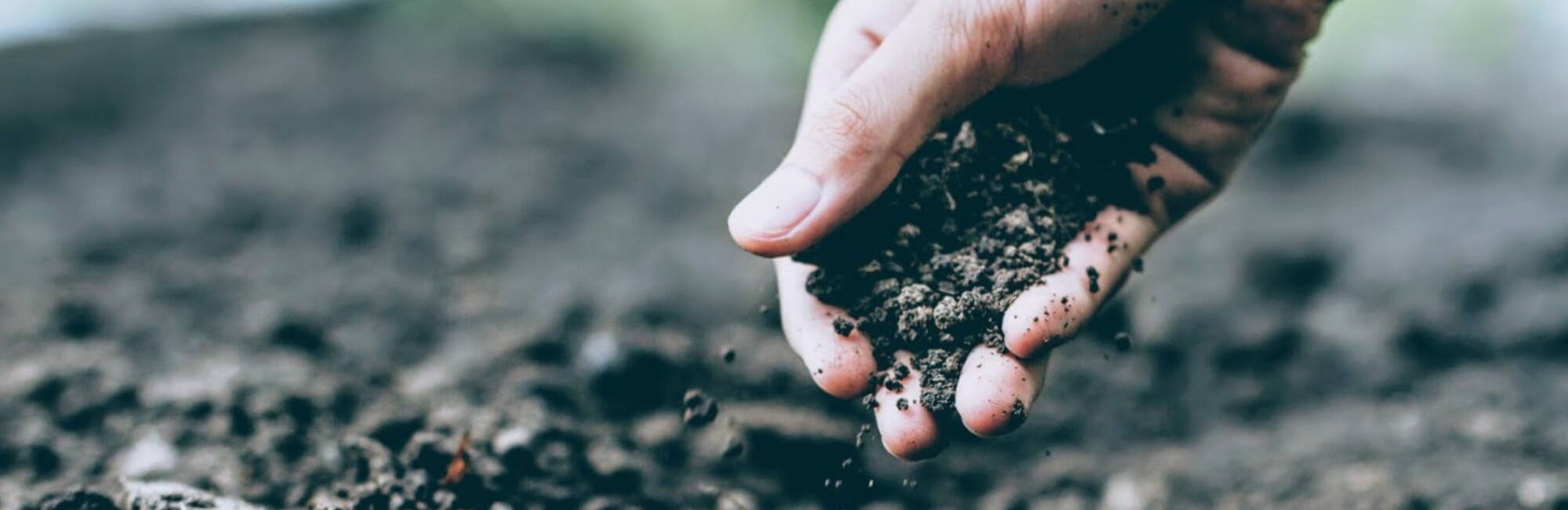 Hand dropping grains of soil