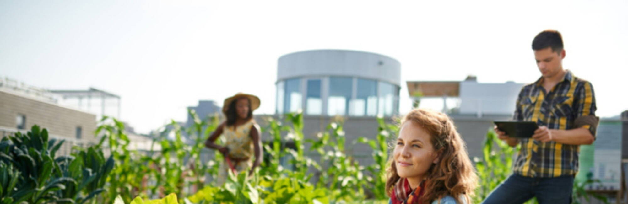 urban farmers