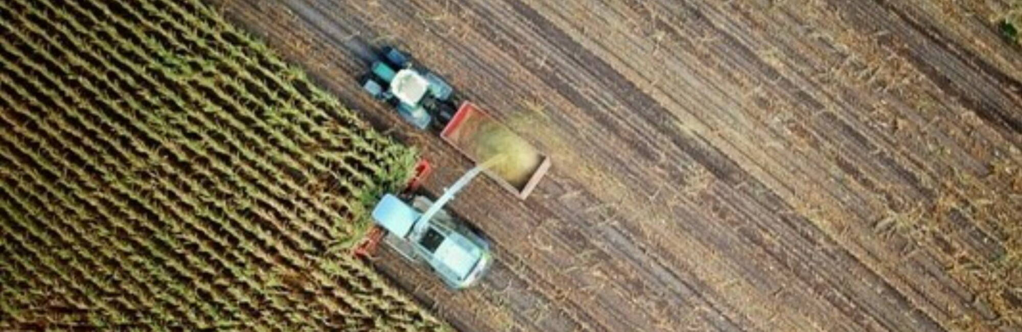 tractor ploughing field