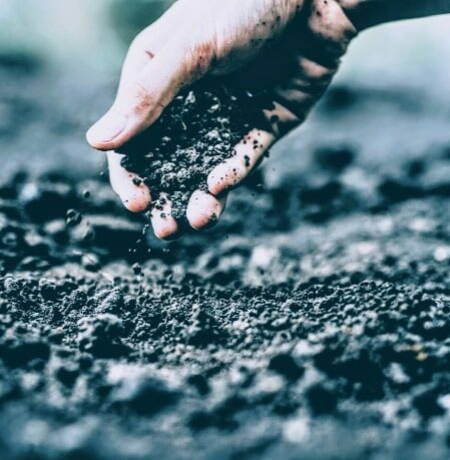 Moving hand through soil